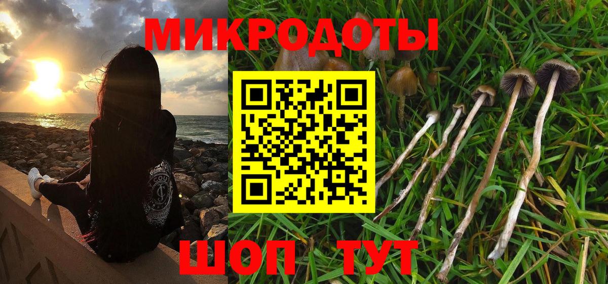 Галлюциногенные грибы прущие грибы Дмитров